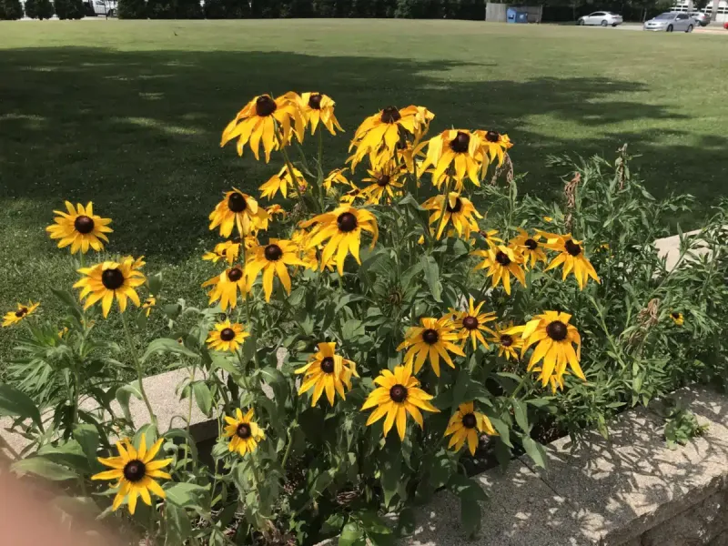 Arisa Health facility in Conway, Arkansas