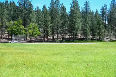 Excelsior Wellness Center