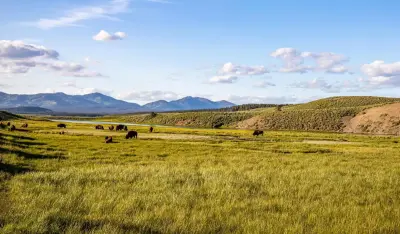 Indian Family Health Clinic