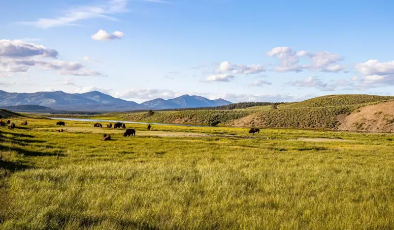 Indian Family Health Clinic facility in Great Falls, Montana