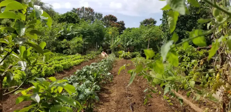 Ka Hale Pomaikai facility in Kaunakakai, Hawaii