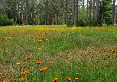 Lake Place Retreat Center