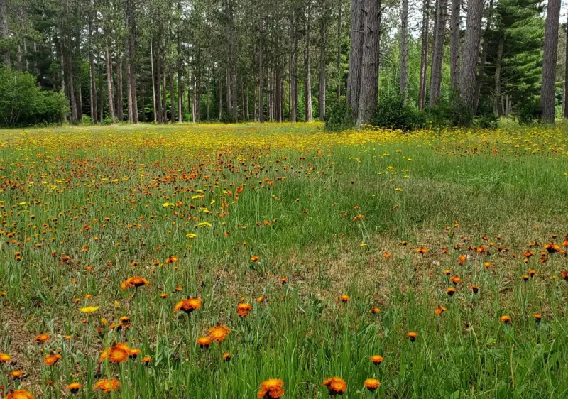 Lake Place Retreat Center facility in Bovey, Minnesota