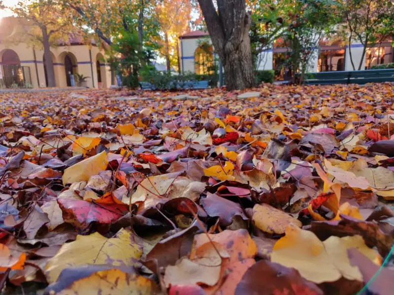 Laurel Ridge Treatment Center facility in San Antonio, Texas