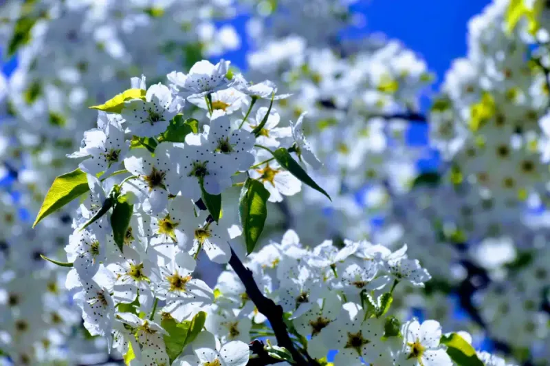 Maine Behavioral Healthcare facility in Brunswick, Maine