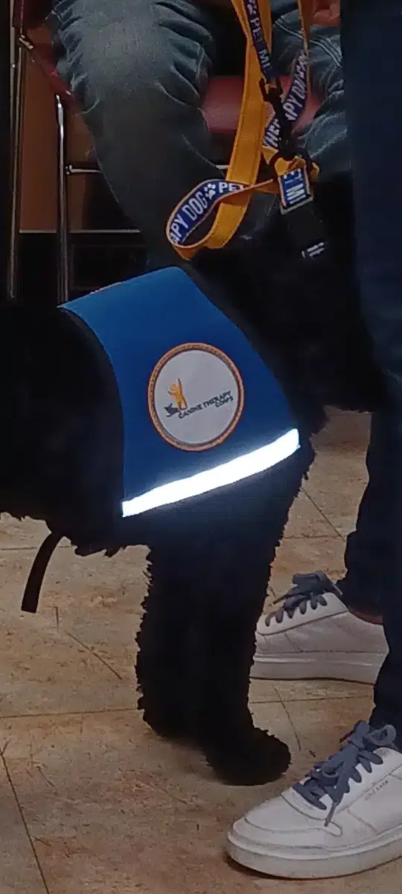 Rincon Family Services facility in Chicago, Illinois