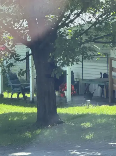 University of Vermont Medical Center