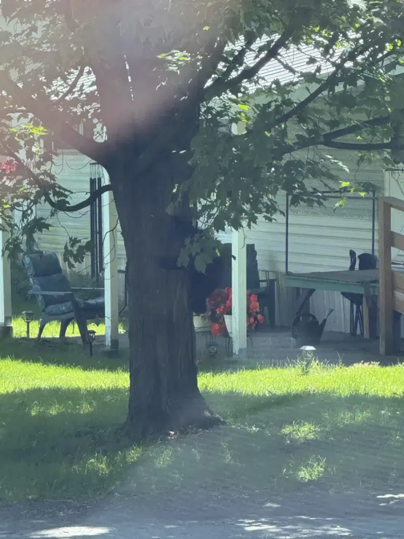 University of Vermont Medical Center facility in Burlington, Vermont