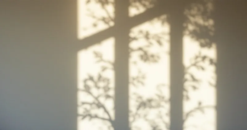 Soft double shadows cast across a pale wall by afternoon light (illustration)
