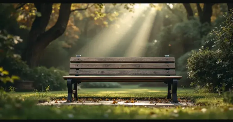 Soft daylight falling across an empty wooden bench in a quiet garden (illustration)