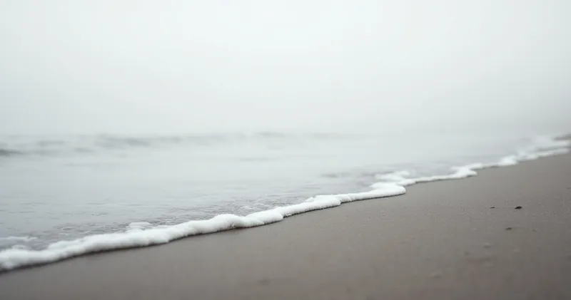 Wave receding from wet sand in soft grey light (illustration)