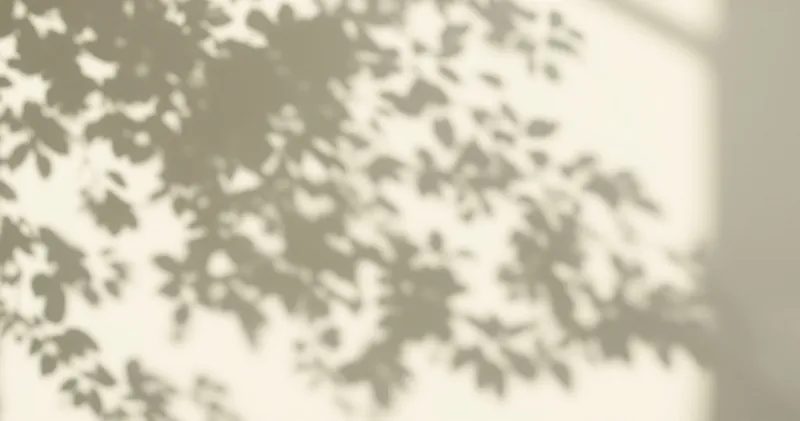 Soft green leaf shadows on a plain pale wall (illustration)