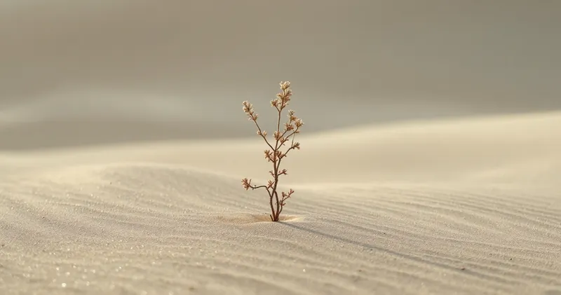 Single hardy desert plant in pale sand (illustration)