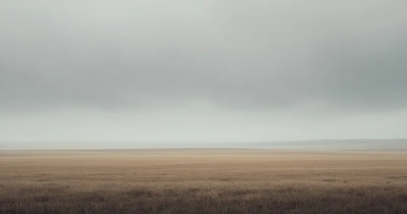 Grey overcast sky above a bare open field (illustration)