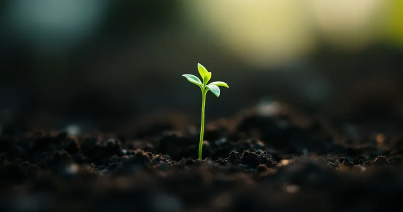 Single small green seedling in dark soil lit by soft window light (illustration)