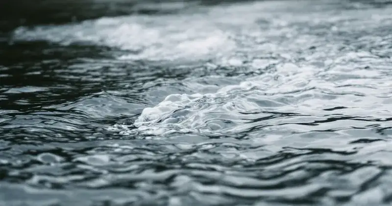 Still water beside moving water at a gentle river bend (illustration)