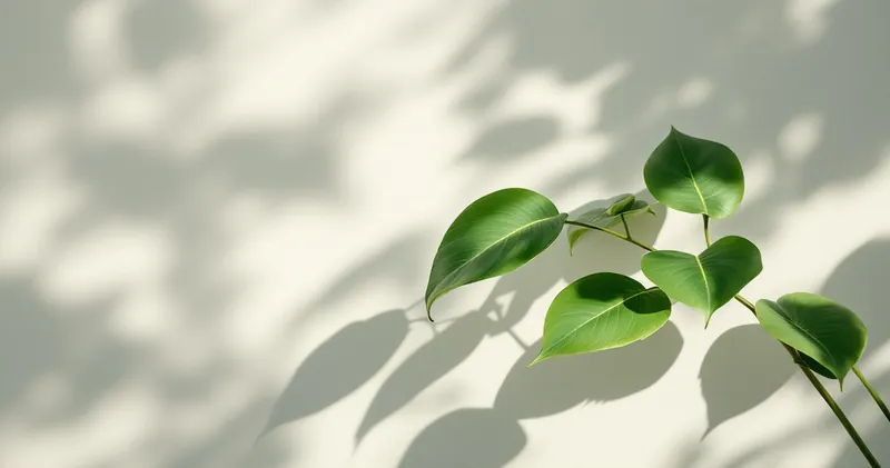 Soft green leaf shadows on a pale wall (illustration)