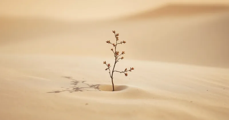 A single hardy plant in pale desert sand (illustration)