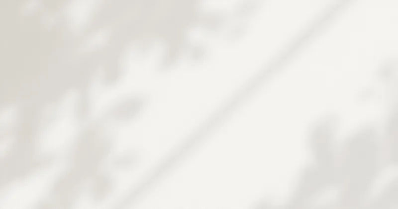 A plain white ceramic surface in soft daylight (illustration)